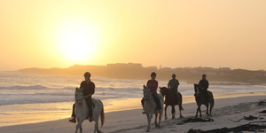 Gansbaai & Pearly Beach Horse Trails
