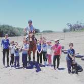 Successful  pony camp