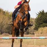 When friends visit they get lessons