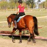 Horse Riding at its best