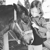 Horse Riding Lessons for small ones