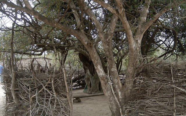 MakhathiniVlakte4_1525630887