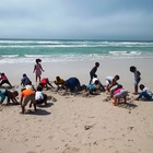 Digging for mussels in the hols.