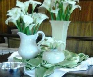 Program vir Pinkster