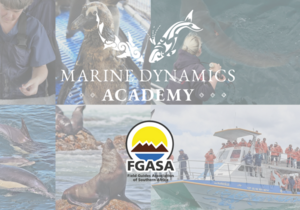 Marine Dynamics Academy - FGASA Endorsed Marine Guiding