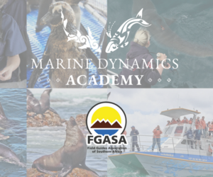 Marine Dynamics Academy - FGASA Endorsed Marine Guiding