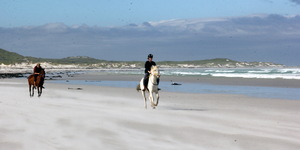 #funinthesun #seahorses #pearlybeachhorsetrails