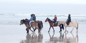 #funinthesun #seahorses #pearlybeachhorsetrails