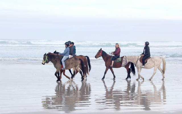 #funinthesun #seahorses #pearlybeachhorsetrails