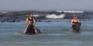 #funinthesun #seahorses #pearlybeachhorsetrails