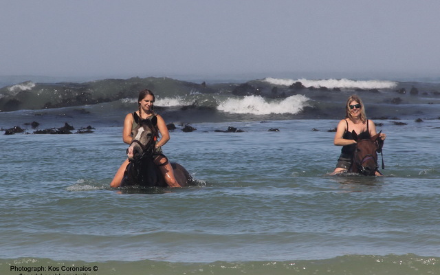 #funinthesun #seahorses #pearlybeachhorsetrails