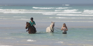 #funinthesun #seahorses #pearlybeachhorsetrails
