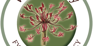 walker_bay_conservancy_1526654310