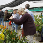 Eikenhoff Orchid Nursery