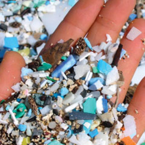 Small plastic pieces which fish see as food