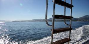 34584549_2038351569517318_2365896697940279296_n_1529048306