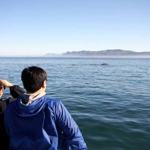 34713698_2038351536183988_405799969098825728_n_1529048305