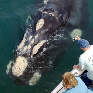 Image008_e1527712713385_1529049259