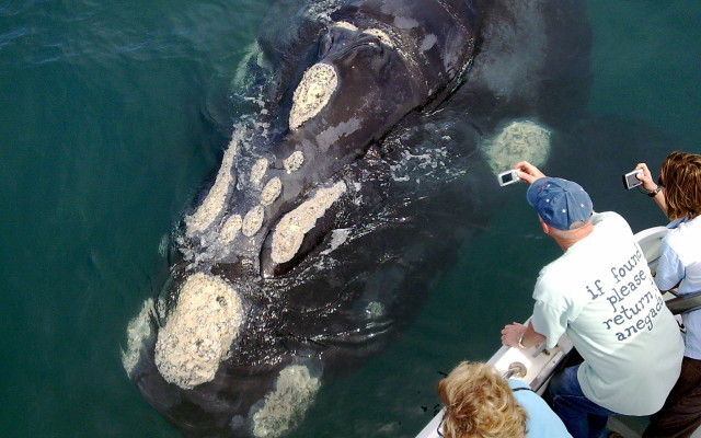 Image008_e1527712713385_1529049259