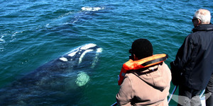 southern_Right_alonside_ivanhoe_e1527712740460_1529049260