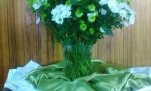 Bulletininligting: Sondag 17 Junie 2018 