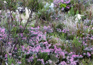 Are you ready to explore?