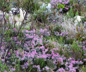 Are you ready to explore?