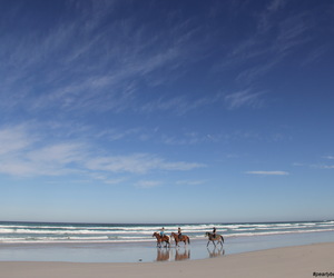 Mid Winter Beach Trails