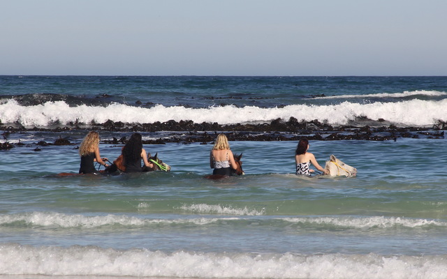 IMG_4711_1_1529579727