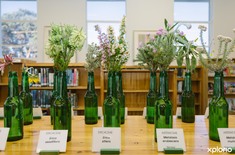 Kleinmond_public_library_fynbos_display_1530081792