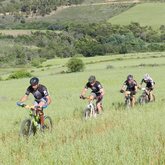 MTB Race