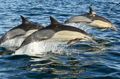 20160410_IMG_0927_1530166433