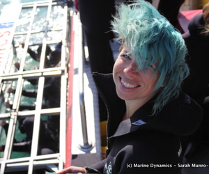 Daily Blog 28 June 2018: Shark Diving Gansbaai