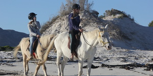 #pearlybeachhorsetrails Â©