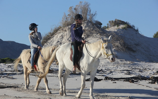 #pearlybeachhorsetrails Â©