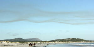 #pearlybeachhorsetrails Â©