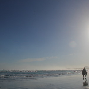 #pearlybeachhorsetrails Â©