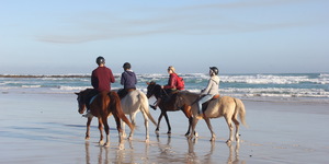 #pearlybeachhorsetrails Â©