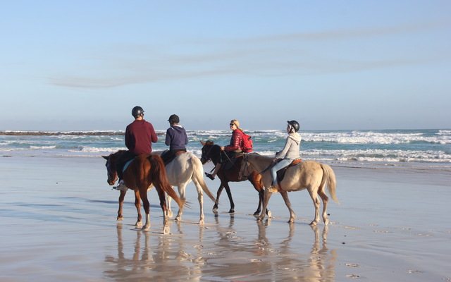 #pearlybeachhorsetrails Â©