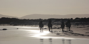 #pearlybeachhorsetrails Â©