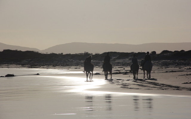 #pearlybeachhorsetrails Â©