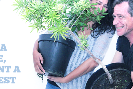 35296111_10155508400596961_8769984951102734336_n_1__1530874173