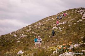 Fynbos Trail Hiking Distance