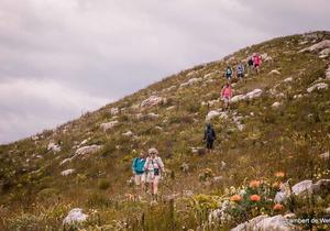Fynbos Trail Hiking Distance