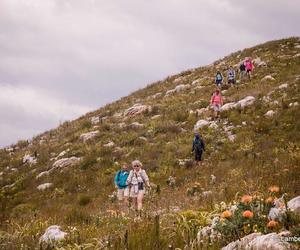 Fynbos Trail Hiking Distance