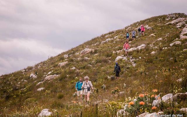 35205594_1664466377006317_47588795985428480_n_1530875697