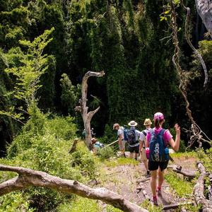 35238237_1664466893672932_1824234195870810112_n_1530875697