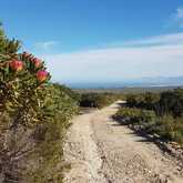 Hiking around Gansbaai
