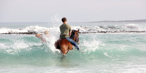 #Gansbaai & Pearly Beach Horse Trails