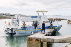 Dyer_island_cruises_Dream_catcher_preparing_to_launch_1532413134